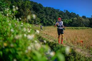 BIB: 
                            <button type="button" onclick="openModal(26581640)" class="btn btn-primary btn-sm float-right btn-popup" data-toggle="modal" data-target=".modal-high-quality">
                        <i class="fas fa-shopping-cart"></i> Add to Cart
                    </button>
                                            <button type="button" onclick="isThisMe(26581640, true)" class="btn btn-success btn-sm float-right btn-popup btn-isme hidden" data-toggle="tooltip" data-placement="bottom" title="นี่คือรูปของคุณใช่ไหม คลิกที่นี่เพื่อเอาเข้าอัลบั้ม">
                        <i class="fas fa-plus"></i> Add to album
                    </button>
                    <button type="button" onclick="isThisMe(26581640, false)" class="btn btn-warning btn-sm float-right btn-popup btn-isnotme hidden">
                        <i class="fas fa-ban"></i> Remove from album
                    </button>