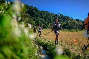 BIB: 
                            <button type="button" onclick="openModal(26575332)" class="btn btn-primary btn-sm float-right btn-popup" data-toggle="modal" data-target=".modal-high-quality">
                        <i class="fas fa-shopping-cart"></i> Add to Cart
                    </button>
                                            <button type="button" onclick="isThisMe(26575332, true)" class="btn btn-success btn-sm float-right btn-popup btn-isme hidden" data-toggle="tooltip" data-placement="bottom" title="นี่คือรูปของคุณใช่ไหม คลิกที่นี่เพื่อเอาเข้าอัลบั้ม">
                        <i class="fas fa-plus"></i> Add to album
                    </button>
                    <button type="button" onclick="isThisMe(26575332, false)" class="btn btn-warning btn-sm float-right btn-popup btn-isnotme hidden">
                        <i class="fas fa-ban"></i> Remove from album
                    </button>