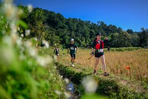 BIB: 
                            <button type="button" onclick="openModal(26575301)" class="btn btn-primary btn-sm float-right btn-popup" data-toggle="modal" data-target=".modal-high-quality">
                        <i class="fas fa-shopping-cart"></i> Add to Cart
                    </button>
                                            <button type="button" onclick="isThisMe(26575301, true)" class="btn btn-success btn-sm float-right btn-popup btn-isme hidden" data-toggle="tooltip" data-placement="bottom" title="นี่คือรูปของคุณใช่ไหม คลิกที่นี่เพื่อเอาเข้าอัลบั้ม">
                        <i class="fas fa-plus"></i> Add to album
                    </button>
                    <button type="button" onclick="isThisMe(26575301, false)" class="btn btn-warning btn-sm float-right btn-popup btn-isnotme hidden">
                        <i class="fas fa-ban"></i> Remove from album
                    </button>