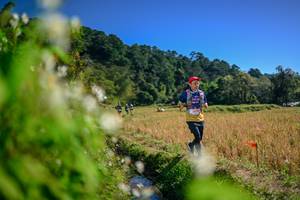 BIB: 
                            <button type="button" onclick="openModal(26574739)" class="btn btn-primary btn-sm float-right btn-popup" data-toggle="modal" data-target=".modal-high-quality">
                        <i class="fas fa-shopping-cart"></i> Add to Cart
                    </button>
                                            <button type="button" onclick="isThisMe(26574739, true)" class="btn btn-success btn-sm float-right btn-popup btn-isme hidden" data-toggle="tooltip" data-placement="bottom" title="นี่คือรูปของคุณใช่ไหม คลิกที่นี่เพื่อเอาเข้าอัลบั้ม">
                        <i class="fas fa-plus"></i> Add to album
                    </button>
                    <button type="button" onclick="isThisMe(26574739, false)" class="btn btn-warning btn-sm float-right btn-popup btn-isnotme hidden">
                        <i class="fas fa-ban"></i> Remove from album
                    </button>