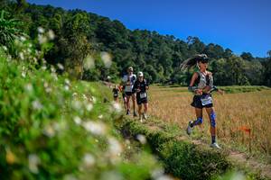 BIB: 
                            <button type="button" onclick="openModal(26582095)" class="btn btn-primary btn-sm float-right btn-popup" data-toggle="modal" data-target=".modal-high-quality">
                        <i class="fas fa-shopping-cart"></i> Add to Cart
                    </button>
                                            <button type="button" onclick="isThisMe(26582095, true)" class="btn btn-success btn-sm float-right btn-popup btn-isme hidden" data-toggle="tooltip" data-placement="bottom" title="นี่คือรูปของคุณใช่ไหม คลิกที่นี่เพื่อเอาเข้าอัลบั้ม">
                        <i class="fas fa-plus"></i> Add to album
                    </button>
                    <button type="button" onclick="isThisMe(26582095, false)" class="btn btn-warning btn-sm float-right btn-popup btn-isnotme hidden">
                        <i class="fas fa-ban"></i> Remove from album
                    </button>