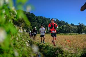 BIB: 
                            <button type="button" onclick="openModal(26579770)" class="btn btn-primary btn-sm float-right btn-popup" data-toggle="modal" data-target=".modal-high-quality">
                        <i class="fas fa-shopping-cart"></i> Add to Cart
                    </button>
                                            <button type="button" onclick="isThisMe(26579770, true)" class="btn btn-success btn-sm float-right btn-popup btn-isme hidden" data-toggle="tooltip" data-placement="bottom" title="นี่คือรูปของคุณใช่ไหม คลิกที่นี่เพื่อเอาเข้าอัลบั้ม">
                        <i class="fas fa-plus"></i> Add to album
                    </button>
                    <button type="button" onclick="isThisMe(26579770, false)" class="btn btn-warning btn-sm float-right btn-popup btn-isnotme hidden">
                        <i class="fas fa-ban"></i> Remove from album
                    </button>