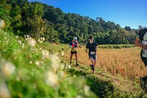 BIB: 
                            <button type="button" onclick="openModal(26570688)" class="btn btn-primary btn-sm float-right btn-popup" data-toggle="modal" data-target=".modal-high-quality">
                        <i class="fas fa-shopping-cart"></i> Add to Cart
                    </button>
                                            <button type="button" onclick="isThisMe(26570688, true)" class="btn btn-success btn-sm float-right btn-popup btn-isme hidden" data-toggle="tooltip" data-placement="bottom" title="นี่คือรูปของคุณใช่ไหม คลิกที่นี่เพื่อเอาเข้าอัลบั้ม">
                        <i class="fas fa-plus"></i> Add to album
                    </button>
                    <button type="button" onclick="isThisMe(26570688, false)" class="btn btn-warning btn-sm float-right btn-popup btn-isnotme hidden">
                        <i class="fas fa-ban"></i> Remove from album
                    </button>