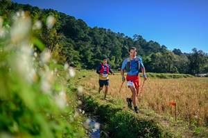 BIB: 
                            <button type="button" onclick="openModal(26571495)" class="btn btn-primary btn-sm float-right btn-popup" data-toggle="modal" data-target=".modal-high-quality">
                        <i class="fas fa-shopping-cart"></i> Add to Cart
                    </button>
                                            <button type="button" onclick="isThisMe(26571495, true)" class="btn btn-success btn-sm float-right btn-popup btn-isme hidden" data-toggle="tooltip" data-placement="bottom" title="นี่คือรูปของคุณใช่ไหม คลิกที่นี่เพื่อเอาเข้าอัลบั้ม">
                        <i class="fas fa-plus"></i> Add to album
                    </button>
                    <button type="button" onclick="isThisMe(26571495, false)" class="btn btn-warning btn-sm float-right btn-popup btn-isnotme hidden">
                        <i class="fas fa-ban"></i> Remove from album
                    </button>