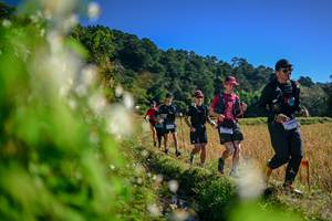 BIB: 
                            <button type="button" onclick="openModal(26572386)" class="btn btn-primary btn-sm float-right btn-popup" data-toggle="modal" data-target=".modal-high-quality">
                        <i class="fas fa-shopping-cart"></i> Add to Cart
                    </button>
                                            <button type="button" onclick="isThisMe(26572386, true)" class="btn btn-success btn-sm float-right btn-popup btn-isme hidden" data-toggle="tooltip" data-placement="bottom" title="นี่คือรูปของคุณใช่ไหม คลิกที่นี่เพื่อเอาเข้าอัลบั้ม">
                        <i class="fas fa-plus"></i> Add to album
                    </button>
                    <button type="button" onclick="isThisMe(26572386, false)" class="btn btn-warning btn-sm float-right btn-popup btn-isnotme hidden">
                        <i class="fas fa-ban"></i> Remove from album
                    </button>