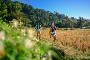 BIB: 
                            <button type="button" onclick="openModal(26570484)" class="btn btn-primary btn-sm float-right btn-popup" data-toggle="modal" data-target=".modal-high-quality">
                        <i class="fas fa-shopping-cart"></i> Add to Cart
                    </button>
                                            <button type="button" onclick="isThisMe(26570484, true)" class="btn btn-success btn-sm float-right btn-popup btn-isme hidden" data-toggle="tooltip" data-placement="bottom" title="นี่คือรูปของคุณใช่ไหม คลิกที่นี่เพื่อเอาเข้าอัลบั้ม">
                        <i class="fas fa-plus"></i> Add to album
                    </button>
                    <button type="button" onclick="isThisMe(26570484, false)" class="btn btn-warning btn-sm float-right btn-popup btn-isnotme hidden">
                        <i class="fas fa-ban"></i> Remove from album
                    </button>