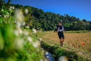 BIB: 
                            <button type="button" onclick="openModal(26575243)" class="btn btn-primary btn-sm float-right btn-popup" data-toggle="modal" data-target=".modal-high-quality">
                        <i class="fas fa-shopping-cart"></i> Add to Cart
                    </button>
                                            <button type="button" onclick="isThisMe(26575243, true)" class="btn btn-success btn-sm float-right btn-popup btn-isme hidden" data-toggle="tooltip" data-placement="bottom" title="นี่คือรูปของคุณใช่ไหม คลิกที่นี่เพื่อเอาเข้าอัลบั้ม">
                        <i class="fas fa-plus"></i> Add to album
                    </button>
                    <button type="button" onclick="isThisMe(26575243, false)" class="btn btn-warning btn-sm float-right btn-popup btn-isnotme hidden">
                        <i class="fas fa-ban"></i> Remove from album
                    </button>