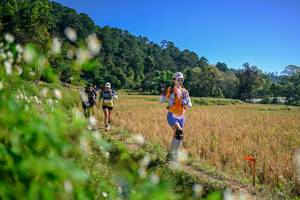 BIB: 
                            <button type="button" onclick="openModal(26576537)" class="btn btn-primary btn-sm float-right btn-popup" data-toggle="modal" data-target=".modal-high-quality">
                        <i class="fas fa-shopping-cart"></i> Add to Cart
                    </button>
                                            <button type="button" onclick="isThisMe(26576537, true)" class="btn btn-success btn-sm float-right btn-popup btn-isme hidden" data-toggle="tooltip" data-placement="bottom" title="นี่คือรูปของคุณใช่ไหม คลิกที่นี่เพื่อเอาเข้าอัลบั้ม">
                        <i class="fas fa-plus"></i> Add to album
                    </button>
                    <button type="button" onclick="isThisMe(26576537, false)" class="btn btn-warning btn-sm float-right btn-popup btn-isnotme hidden">
                        <i class="fas fa-ban"></i> Remove from album
                    </button>