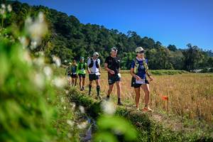 BIB: 
                            <button type="button" onclick="openModal(26575574)" class="btn btn-primary btn-sm float-right btn-popup" data-toggle="modal" data-target=".modal-high-quality">
                        <i class="fas fa-shopping-cart"></i> Add to Cart
                    </button>
                                            <button type="button" onclick="isThisMe(26575574, true)" class="btn btn-success btn-sm float-right btn-popup btn-isme hidden" data-toggle="tooltip" data-placement="bottom" title="นี่คือรูปของคุณใช่ไหม คลิกที่นี่เพื่อเอาเข้าอัลบั้ม">
                        <i class="fas fa-plus"></i> Add to album
                    </button>
                    <button type="button" onclick="isThisMe(26575574, false)" class="btn btn-warning btn-sm float-right btn-popup btn-isnotme hidden">
                        <i class="fas fa-ban"></i> Remove from album
                    </button>