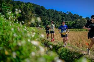 BIB: 
                            <button type="button" onclick="openModal(26582294)" class="btn btn-primary btn-sm float-right btn-popup" data-toggle="modal" data-target=".modal-high-quality">
                        <i class="fas fa-shopping-cart"></i> Add to Cart
                    </button>
                                            <button type="button" onclick="isThisMe(26582294, true)" class="btn btn-success btn-sm float-right btn-popup btn-isme hidden" data-toggle="tooltip" data-placement="bottom" title="นี่คือรูปของคุณใช่ไหม คลิกที่นี่เพื่อเอาเข้าอัลบั้ม">
                        <i class="fas fa-plus"></i> Add to album
                    </button>
                    <button type="button" onclick="isThisMe(26582294, false)" class="btn btn-warning btn-sm float-right btn-popup btn-isnotme hidden">
                        <i class="fas fa-ban"></i> Remove from album
                    </button>