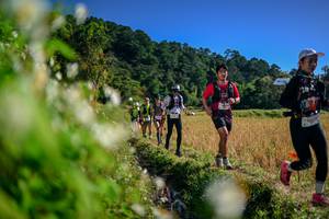 BIB: 
                            <button type="button" onclick="openModal(26573980)" class="btn btn-primary btn-sm float-right btn-popup" data-toggle="modal" data-target=".modal-high-quality">
                        <i class="fas fa-shopping-cart"></i> Add to Cart
                    </button>
                                            <button type="button" onclick="isThisMe(26573980, true)" class="btn btn-success btn-sm float-right btn-popup btn-isme hidden" data-toggle="tooltip" data-placement="bottom" title="นี่คือรูปของคุณใช่ไหม คลิกที่นี่เพื่อเอาเข้าอัลบั้ม">
                        <i class="fas fa-plus"></i> Add to album
                    </button>
                    <button type="button" onclick="isThisMe(26573980, false)" class="btn btn-warning btn-sm float-right btn-popup btn-isnotme hidden">
                        <i class="fas fa-ban"></i> Remove from album
                    </button>