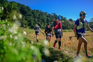 BIB: 
                            <button type="button" onclick="openModal(26579634)" class="btn btn-primary btn-sm float-right btn-popup" data-toggle="modal" data-target=".modal-high-quality">
                        <i class="fas fa-shopping-cart"></i> Add to Cart
                    </button>
                                            <button type="button" onclick="isThisMe(26579634, true)" class="btn btn-success btn-sm float-right btn-popup btn-isme hidden" data-toggle="tooltip" data-placement="bottom" title="นี่คือรูปของคุณใช่ไหม คลิกที่นี่เพื่อเอาเข้าอัลบั้ม">
                        <i class="fas fa-plus"></i> Add to album
                    </button>
                    <button type="button" onclick="isThisMe(26579634, false)" class="btn btn-warning btn-sm float-right btn-popup btn-isnotme hidden">
                        <i class="fas fa-ban"></i> Remove from album
                    </button>