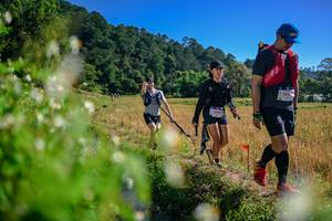 BIB: 
                            <button type="button" onclick="openModal(26579645)" class="btn btn-primary btn-sm float-right btn-popup" data-toggle="modal" data-target=".modal-high-quality">
                        <i class="fas fa-shopping-cart"></i> Add to Cart
                    </button>
                                            <button type="button" onclick="isThisMe(26579645, true)" class="btn btn-success btn-sm float-right btn-popup btn-isme hidden" data-toggle="tooltip" data-placement="bottom" title="นี่คือรูปของคุณใช่ไหม คลิกที่นี่เพื่อเอาเข้าอัลบั้ม">
                        <i class="fas fa-plus"></i> Add to album
                    </button>
                    <button type="button" onclick="isThisMe(26579645, false)" class="btn btn-warning btn-sm float-right btn-popup btn-isnotme hidden">
                        <i class="fas fa-ban"></i> Remove from album
                    </button>