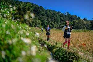 BIB: 
                            <button type="button" onclick="openModal(26583048)" class="btn btn-primary btn-sm float-right btn-popup" data-toggle="modal" data-target=".modal-high-quality">
                        <i class="fas fa-shopping-cart"></i> Add to Cart
                    </button>
                                            <button type="button" onclick="isThisMe(26583048, true)" class="btn btn-success btn-sm float-right btn-popup btn-isme hidden" data-toggle="tooltip" data-placement="bottom" title="นี่คือรูปของคุณใช่ไหม คลิกที่นี่เพื่อเอาเข้าอัลบั้ม">
                        <i class="fas fa-plus"></i> Add to album
                    </button>
                    <button type="button" onclick="isThisMe(26583048, false)" class="btn btn-warning btn-sm float-right btn-popup btn-isnotme hidden">
                        <i class="fas fa-ban"></i> Remove from album
                    </button>