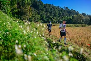 BIB: 
                            <button type="button" onclick="openModal(26571302)" class="btn btn-primary btn-sm float-right btn-popup" data-toggle="modal" data-target=".modal-high-quality">
                        <i class="fas fa-shopping-cart"></i> Add to Cart
                    </button>
                                            <button type="button" onclick="isThisMe(26571302, true)" class="btn btn-success btn-sm float-right btn-popup btn-isme hidden" data-toggle="tooltip" data-placement="bottom" title="นี่คือรูปของคุณใช่ไหม คลิกที่นี่เพื่อเอาเข้าอัลบั้ม">
                        <i class="fas fa-plus"></i> Add to album
                    </button>
                    <button type="button" onclick="isThisMe(26571302, false)" class="btn btn-warning btn-sm float-right btn-popup btn-isnotme hidden">
                        <i class="fas fa-ban"></i> Remove from album
                    </button>