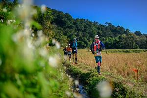 BIB: 
                            <button type="button" onclick="openModal(26572825)" class="btn btn-primary btn-sm float-right btn-popup" data-toggle="modal" data-target=".modal-high-quality">
                        <i class="fas fa-shopping-cart"></i> Add to Cart
                    </button>
                                            <button type="button" onclick="isThisMe(26572825, true)" class="btn btn-success btn-sm float-right btn-popup btn-isme hidden" data-toggle="tooltip" data-placement="bottom" title="นี่คือรูปของคุณใช่ไหม คลิกที่นี่เพื่อเอาเข้าอัลบั้ม">
                        <i class="fas fa-plus"></i> Add to album
                    </button>
                    <button type="button" onclick="isThisMe(26572825, false)" class="btn btn-warning btn-sm float-right btn-popup btn-isnotme hidden">
                        <i class="fas fa-ban"></i> Remove from album
                    </button>