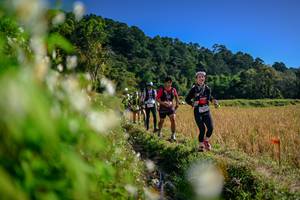 BIB: 
                            <button type="button" onclick="openModal(26573968)" class="btn btn-primary btn-sm float-right btn-popup" data-toggle="modal" data-target=".modal-high-quality">
                        <i class="fas fa-shopping-cart"></i> Add to Cart
                    </button>
                                            <button type="button" onclick="isThisMe(26573968, true)" class="btn btn-success btn-sm float-right btn-popup btn-isme hidden" data-toggle="tooltip" data-placement="bottom" title="นี่คือรูปของคุณใช่ไหม คลิกที่นี่เพื่อเอาเข้าอัลบั้ม">
                        <i class="fas fa-plus"></i> Add to album
                    </button>
                    <button type="button" onclick="isThisMe(26573968, false)" class="btn btn-warning btn-sm float-right btn-popup btn-isnotme hidden">
                        <i class="fas fa-ban"></i> Remove from album
                    </button>