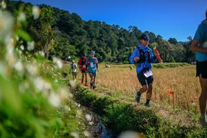 BIB: 
                            <button type="button" onclick="openModal(26574657)" class="btn btn-primary btn-sm float-right btn-popup" data-toggle="modal" data-target=".modal-high-quality">
                        <i class="fas fa-shopping-cart"></i> Add to Cart
                    </button>
                                            <button type="button" onclick="isThisMe(26574657, true)" class="btn btn-success btn-sm float-right btn-popup btn-isme hidden" data-toggle="tooltip" data-placement="bottom" title="นี่คือรูปของคุณใช่ไหม คลิกที่นี่เพื่อเอาเข้าอัลบั้ม">
                        <i class="fas fa-plus"></i> Add to album
                    </button>
                    <button type="button" onclick="isThisMe(26574657, false)" class="btn btn-warning btn-sm float-right btn-popup btn-isnotme hidden">
                        <i class="fas fa-ban"></i> Remove from album
                    </button>