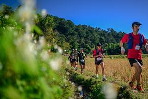 BIB: 
                            <button type="button" onclick="openModal(26572658)" class="btn btn-primary btn-sm float-right btn-popup" data-toggle="modal" data-target=".modal-high-quality">
                        <i class="fas fa-shopping-cart"></i> Add to Cart
                    </button>
                                            <button type="button" onclick="isThisMe(26572658, true)" class="btn btn-success btn-sm float-right btn-popup btn-isme hidden" data-toggle="tooltip" data-placement="bottom" title="นี่คือรูปของคุณใช่ไหม คลิกที่นี่เพื่อเอาเข้าอัลบั้ม">
                        <i class="fas fa-plus"></i> Add to album
                    </button>
                    <button type="button" onclick="isThisMe(26572658, false)" class="btn btn-warning btn-sm float-right btn-popup btn-isnotme hidden">
                        <i class="fas fa-ban"></i> Remove from album
                    </button>