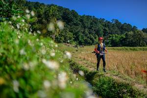 BIB: 
                            <button type="button" onclick="openModal(26583113)" class="btn btn-primary btn-sm float-right btn-popup" data-toggle="modal" data-target=".modal-high-quality">
                        <i class="fas fa-shopping-cart"></i> Add to Cart
                    </button>
                                            <button type="button" onclick="isThisMe(26583113, true)" class="btn btn-success btn-sm float-right btn-popup btn-isme hidden" data-toggle="tooltip" data-placement="bottom" title="นี่คือรูปของคุณใช่ไหม คลิกที่นี่เพื่อเอาเข้าอัลบั้ม">
                        <i class="fas fa-plus"></i> Add to album
                    </button>
                    <button type="button" onclick="isThisMe(26583113, false)" class="btn btn-warning btn-sm float-right btn-popup btn-isnotme hidden">
                        <i class="fas fa-ban"></i> Remove from album
                    </button>