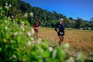 BIB: 
                            <button type="button" onclick="openModal(26581434)" class="btn btn-primary btn-sm float-right btn-popup" data-toggle="modal" data-target=".modal-high-quality">
                        <i class="fas fa-shopping-cart"></i> Add to Cart
                    </button>
                                            <button type="button" onclick="isThisMe(26581434, true)" class="btn btn-success btn-sm float-right btn-popup btn-isme hidden" data-toggle="tooltip" data-placement="bottom" title="นี่คือรูปของคุณใช่ไหม คลิกที่นี่เพื่อเอาเข้าอัลบั้ม">
                        <i class="fas fa-plus"></i> Add to album
                    </button>
                    <button type="button" onclick="isThisMe(26581434, false)" class="btn btn-warning btn-sm float-right btn-popup btn-isnotme hidden">
                        <i class="fas fa-ban"></i> Remove from album
                    </button>