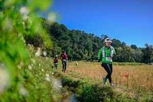 BIB: 
                            <button type="button" onclick="openModal(26581111)" class="btn btn-primary btn-sm float-right btn-popup" data-toggle="modal" data-target=".modal-high-quality">
                        <i class="fas fa-shopping-cart"></i> Add to Cart
                    </button>
                                            <button type="button" onclick="isThisMe(26581111, true)" class="btn btn-success btn-sm float-right btn-popup btn-isme hidden" data-toggle="tooltip" data-placement="bottom" title="นี่คือรูปของคุณใช่ไหม คลิกที่นี่เพื่อเอาเข้าอัลบั้ม">
                        <i class="fas fa-plus"></i> Add to album
                    </button>
                    <button type="button" onclick="isThisMe(26581111, false)" class="btn btn-warning btn-sm float-right btn-popup btn-isnotme hidden">
                        <i class="fas fa-ban"></i> Remove from album
                    </button>