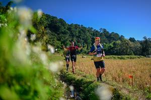 BIB: 
                            <button type="button" onclick="openModal(26573645)" class="btn btn-primary btn-sm float-right btn-popup" data-toggle="modal" data-target=".modal-high-quality">
                        <i class="fas fa-shopping-cart"></i> Add to Cart
                    </button>
                                            <button type="button" onclick="isThisMe(26573645, true)" class="btn btn-success btn-sm float-right btn-popup btn-isme hidden" data-toggle="tooltip" data-placement="bottom" title="นี่คือรูปของคุณใช่ไหม คลิกที่นี่เพื่อเอาเข้าอัลบั้ม">
                        <i class="fas fa-plus"></i> Add to album
                    </button>
                    <button type="button" onclick="isThisMe(26573645, false)" class="btn btn-warning btn-sm float-right btn-popup btn-isnotme hidden">
                        <i class="fas fa-ban"></i> Remove from album
                    </button>