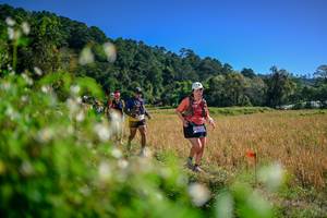 BIB: 
                            <button type="button" onclick="openModal(26581517)" class="btn btn-primary btn-sm float-right btn-popup" data-toggle="modal" data-target=".modal-high-quality">
                        <i class="fas fa-shopping-cart"></i> Add to Cart
                    </button>
                                            <button type="button" onclick="isThisMe(26581517, true)" class="btn btn-success btn-sm float-right btn-popup btn-isme hidden" data-toggle="tooltip" data-placement="bottom" title="นี่คือรูปของคุณใช่ไหม คลิกที่นี่เพื่อเอาเข้าอัลบั้ม">
                        <i class="fas fa-plus"></i> Add to album
                    </button>
                    <button type="button" onclick="isThisMe(26581517, false)" class="btn btn-warning btn-sm float-right btn-popup btn-isnotme hidden">
                        <i class="fas fa-ban"></i> Remove from album
                    </button>