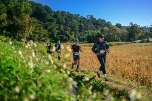 BIB: 
                            <button type="button" onclick="openModal(26571222)" class="btn btn-primary btn-sm float-right btn-popup" data-toggle="modal" data-target=".modal-high-quality">
                        <i class="fas fa-shopping-cart"></i> Add to Cart
                    </button>
                                            <button type="button" onclick="isThisMe(26571222, true)" class="btn btn-success btn-sm float-right btn-popup btn-isme hidden" data-toggle="tooltip" data-placement="bottom" title="นี่คือรูปของคุณใช่ไหม คลิกที่นี่เพื่อเอาเข้าอัลบั้ม">
                        <i class="fas fa-plus"></i> Add to album
                    </button>
                    <button type="button" onclick="isThisMe(26571222, false)" class="btn btn-warning btn-sm float-right btn-popup btn-isnotme hidden">
                        <i class="fas fa-ban"></i> Remove from album
                    </button>