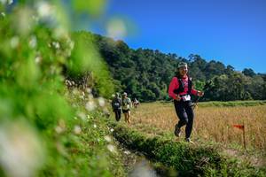 BIB: 
                            <button type="button" onclick="openModal(26580863)" class="btn btn-primary btn-sm float-right btn-popup" data-toggle="modal" data-target=".modal-high-quality">
                        <i class="fas fa-shopping-cart"></i> Add to Cart
                    </button>
                                            <button type="button" onclick="isThisMe(26580863, true)" class="btn btn-success btn-sm float-right btn-popup btn-isme hidden" data-toggle="tooltip" data-placement="bottom" title="นี่คือรูปของคุณใช่ไหม คลิกที่นี่เพื่อเอาเข้าอัลบั้ม">
                        <i class="fas fa-plus"></i> Add to album
                    </button>
                    <button type="button" onclick="isThisMe(26580863, false)" class="btn btn-warning btn-sm float-right btn-popup btn-isnotme hidden">
                        <i class="fas fa-ban"></i> Remove from album
                    </button>