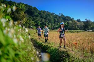 BIB: 
                            <button type="button" onclick="openModal(26571579)" class="btn btn-primary btn-sm float-right btn-popup" data-toggle="modal" data-target=".modal-high-quality">
                        <i class="fas fa-shopping-cart"></i> Add to Cart
                    </button>
                                            <button type="button" onclick="isThisMe(26571579, true)" class="btn btn-success btn-sm float-right btn-popup btn-isme hidden" data-toggle="tooltip" data-placement="bottom" title="นี่คือรูปของคุณใช่ไหม คลิกที่นี่เพื่อเอาเข้าอัลบั้ม">
                        <i class="fas fa-plus"></i> Add to album
                    </button>
                    <button type="button" onclick="isThisMe(26571579, false)" class="btn btn-warning btn-sm float-right btn-popup btn-isnotme hidden">
                        <i class="fas fa-ban"></i> Remove from album
                    </button>