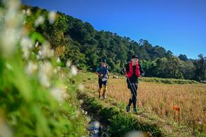 BIB: 
                            <button type="button" onclick="openModal(26571482)" class="btn btn-primary btn-sm float-right btn-popup" data-toggle="modal" data-target=".modal-high-quality">
                        <i class="fas fa-shopping-cart"></i> Add to Cart
                    </button>
                                            <button type="button" onclick="isThisMe(26571482, true)" class="btn btn-success btn-sm float-right btn-popup btn-isme hidden" data-toggle="tooltip" data-placement="bottom" title="นี่คือรูปของคุณใช่ไหม คลิกที่นี่เพื่อเอาเข้าอัลบั้ม">
                        <i class="fas fa-plus"></i> Add to album
                    </button>
                    <button type="button" onclick="isThisMe(26571482, false)" class="btn btn-warning btn-sm float-right btn-popup btn-isnotme hidden">
                        <i class="fas fa-ban"></i> Remove from album
                    </button>