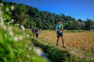 BIB: 
                            <button type="button" onclick="openModal(26575393)" class="btn btn-primary btn-sm float-right btn-popup" data-toggle="modal" data-target=".modal-high-quality">
                        <i class="fas fa-shopping-cart"></i> Add to Cart
                    </button>
                                            <button type="button" onclick="isThisMe(26575393, true)" class="btn btn-success btn-sm float-right btn-popup btn-isme hidden" data-toggle="tooltip" data-placement="bottom" title="นี่คือรูปของคุณใช่ไหม คลิกที่นี่เพื่อเอาเข้าอัลบั้ม">
                        <i class="fas fa-plus"></i> Add to album
                    </button>
                    <button type="button" onclick="isThisMe(26575393, false)" class="btn btn-warning btn-sm float-right btn-popup btn-isnotme hidden">
                        <i class="fas fa-ban"></i> Remove from album
                    </button>