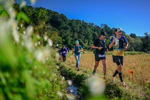 BIB: 
                            <button type="button" onclick="openModal(26573331)" class="btn btn-primary btn-sm float-right btn-popup" data-toggle="modal" data-target=".modal-high-quality">
                        <i class="fas fa-shopping-cart"></i> Add to Cart
                    </button>
                                            <button type="button" onclick="isThisMe(26573331, true)" class="btn btn-success btn-sm float-right btn-popup btn-isme hidden" data-toggle="tooltip" data-placement="bottom" title="นี่คือรูปของคุณใช่ไหม คลิกที่นี่เพื่อเอาเข้าอัลบั้ม">
                        <i class="fas fa-plus"></i> Add to album
                    </button>
                    <button type="button" onclick="isThisMe(26573331, false)" class="btn btn-warning btn-sm float-right btn-popup btn-isnotme hidden">
                        <i class="fas fa-ban"></i> Remove from album
                    </button>