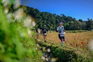 BIB: 
                            <button type="button" onclick="openModal(26572047)" class="btn btn-primary btn-sm float-right btn-popup" data-toggle="modal" data-target=".modal-high-quality">
                        <i class="fas fa-shopping-cart"></i> Add to Cart
                    </button>
                                            <button type="button" onclick="isThisMe(26572047, true)" class="btn btn-success btn-sm float-right btn-popup btn-isme hidden" data-toggle="tooltip" data-placement="bottom" title="นี่คือรูปของคุณใช่ไหม คลิกที่นี่เพื่อเอาเข้าอัลบั้ม">
                        <i class="fas fa-plus"></i> Add to album
                    </button>
                    <button type="button" onclick="isThisMe(26572047, false)" class="btn btn-warning btn-sm float-right btn-popup btn-isnotme hidden">
                        <i class="fas fa-ban"></i> Remove from album
                    </button>