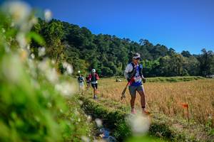 BIB: 
                            <button type="button" onclick="openModal(26574215)" class="btn btn-primary btn-sm float-right btn-popup" data-toggle="modal" data-target=".modal-high-quality">
                        <i class="fas fa-shopping-cart"></i> Add to Cart
                    </button>
                                            <button type="button" onclick="isThisMe(26574215, true)" class="btn btn-success btn-sm float-right btn-popup btn-isme hidden" data-toggle="tooltip" data-placement="bottom" title="นี่คือรูปของคุณใช่ไหม คลิกที่นี่เพื่อเอาเข้าอัลบั้ม">
                        <i class="fas fa-plus"></i> Add to album
                    </button>
                    <button type="button" onclick="isThisMe(26574215, false)" class="btn btn-warning btn-sm float-right btn-popup btn-isnotme hidden">
                        <i class="fas fa-ban"></i> Remove from album
                    </button>