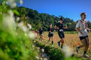 BIB: 
                            <button type="button" onclick="openModal(26575094)" class="btn btn-primary btn-sm float-right btn-popup" data-toggle="modal" data-target=".modal-high-quality">
                        <i class="fas fa-shopping-cart"></i> Add to Cart
                    </button>
                                            <button type="button" onclick="isThisMe(26575094, true)" class="btn btn-success btn-sm float-right btn-popup btn-isme hidden" data-toggle="tooltip" data-placement="bottom" title="นี่คือรูปของคุณใช่ไหม คลิกที่นี่เพื่อเอาเข้าอัลบั้ม">
                        <i class="fas fa-plus"></i> Add to album
                    </button>
                    <button type="button" onclick="isThisMe(26575094, false)" class="btn btn-warning btn-sm float-right btn-popup btn-isnotme hidden">
                        <i class="fas fa-ban"></i> Remove from album
                    </button>