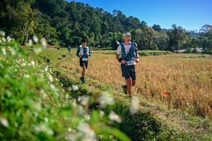 BIB: 
                            <button type="button" onclick="openModal(26571423)" class="btn btn-primary btn-sm float-right btn-popup" data-toggle="modal" data-target=".modal-high-quality">
                        <i class="fas fa-shopping-cart"></i> Add to Cart
                    </button>
                                            <button type="button" onclick="isThisMe(26571423, true)" class="btn btn-success btn-sm float-right btn-popup btn-isme hidden" data-toggle="tooltip" data-placement="bottom" title="นี่คือรูปของคุณใช่ไหม คลิกที่นี่เพื่อเอาเข้าอัลบั้ม">
                        <i class="fas fa-plus"></i> Add to album
                    </button>
                    <button type="button" onclick="isThisMe(26571423, false)" class="btn btn-warning btn-sm float-right btn-popup btn-isnotme hidden">
                        <i class="fas fa-ban"></i> Remove from album
                    </button>