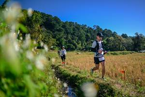 BIB: 
                            <button type="button" onclick="openModal(26572464)" class="btn btn-primary btn-sm float-right btn-popup" data-toggle="modal" data-target=".modal-high-quality">
                        <i class="fas fa-shopping-cart"></i> Add to Cart
                    </button>
                                            <button type="button" onclick="isThisMe(26572464, true)" class="btn btn-success btn-sm float-right btn-popup btn-isme hidden" data-toggle="tooltip" data-placement="bottom" title="นี่คือรูปของคุณใช่ไหม คลิกที่นี่เพื่อเอาเข้าอัลบั้ม">
                        <i class="fas fa-plus"></i> Add to album
                    </button>
                    <button type="button" onclick="isThisMe(26572464, false)" class="btn btn-warning btn-sm float-right btn-popup btn-isnotme hidden">
                        <i class="fas fa-ban"></i> Remove from album
                    </button>