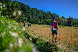 BIB: 
                            <button type="button" onclick="openModal(26582738)" class="btn btn-primary btn-sm float-right btn-popup" data-toggle="modal" data-target=".modal-high-quality">
                        <i class="fas fa-shopping-cart"></i> Add to Cart
                    </button>
                                            <button type="button" onclick="isThisMe(26582738, true)" class="btn btn-success btn-sm float-right btn-popup btn-isme hidden" data-toggle="tooltip" data-placement="bottom" title="นี่คือรูปของคุณใช่ไหม คลิกที่นี่เพื่อเอาเข้าอัลบั้ม">
                        <i class="fas fa-plus"></i> Add to album
                    </button>
                    <button type="button" onclick="isThisMe(26582738, false)" class="btn btn-warning btn-sm float-right btn-popup btn-isnotme hidden">
                        <i class="fas fa-ban"></i> Remove from album
                    </button>