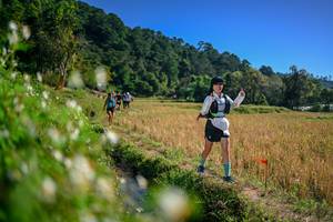 BIB: 
                            <button type="button" onclick="openModal(26576182)" class="btn btn-primary btn-sm float-right btn-popup" data-toggle="modal" data-target=".modal-high-quality">
                        <i class="fas fa-shopping-cart"></i> Add to Cart
                    </button>
                                            <button type="button" onclick="isThisMe(26576182, true)" class="btn btn-success btn-sm float-right btn-popup btn-isme hidden" data-toggle="tooltip" data-placement="bottom" title="นี่คือรูปของคุณใช่ไหม คลิกที่นี่เพื่อเอาเข้าอัลบั้ม">
                        <i class="fas fa-plus"></i> Add to album
                    </button>
                    <button type="button" onclick="isThisMe(26576182, false)" class="btn btn-warning btn-sm float-right btn-popup btn-isnotme hidden">
                        <i class="fas fa-ban"></i> Remove from album
                    </button>