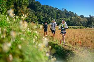 BIB: 
                            <button type="button" onclick="openModal(26571000)" class="btn btn-primary btn-sm float-right btn-popup" data-toggle="modal" data-target=".modal-high-quality">
                        <i class="fas fa-shopping-cart"></i> Add to Cart
                    </button>
                                            <button type="button" onclick="isThisMe(26571000, true)" class="btn btn-success btn-sm float-right btn-popup btn-isme hidden" data-toggle="tooltip" data-placement="bottom" title="นี่คือรูปของคุณใช่ไหม คลิกที่นี่เพื่อเอาเข้าอัลบั้ม">
                        <i class="fas fa-plus"></i> Add to album
                    </button>
                    <button type="button" onclick="isThisMe(26571000, false)" class="btn btn-warning btn-sm float-right btn-popup btn-isnotme hidden">
                        <i class="fas fa-ban"></i> Remove from album
                    </button>