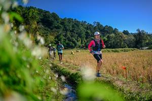 BIB: 
                            <button type="button" onclick="openModal(26574224)" class="btn btn-primary btn-sm float-right btn-popup" data-toggle="modal" data-target=".modal-high-quality">
                        <i class="fas fa-shopping-cart"></i> Add to Cart
                    </button>
                                            <button type="button" onclick="isThisMe(26574224, true)" class="btn btn-success btn-sm float-right btn-popup btn-isme hidden" data-toggle="tooltip" data-placement="bottom" title="นี่คือรูปของคุณใช่ไหม คลิกที่นี่เพื่อเอาเข้าอัลบั้ม">
                        <i class="fas fa-plus"></i> Add to album
                    </button>
                    <button type="button" onclick="isThisMe(26574224, false)" class="btn btn-warning btn-sm float-right btn-popup btn-isnotme hidden">
                        <i class="fas fa-ban"></i> Remove from album
                    </button>