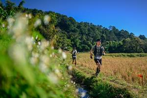 BIB: 
                            <button type="button" onclick="openModal(26571535)" class="btn btn-primary btn-sm float-right btn-popup" data-toggle="modal" data-target=".modal-high-quality">
                        <i class="fas fa-shopping-cart"></i> Add to Cart
                    </button>
                                            <button type="button" onclick="isThisMe(26571535, true)" class="btn btn-success btn-sm float-right btn-popup btn-isme hidden" data-toggle="tooltip" data-placement="bottom" title="นี่คือรูปของคุณใช่ไหม คลิกที่นี่เพื่อเอาเข้าอัลบั้ม">
                        <i class="fas fa-plus"></i> Add to album
                    </button>
                    <button type="button" onclick="isThisMe(26571535, false)" class="btn btn-warning btn-sm float-right btn-popup btn-isnotme hidden">
                        <i class="fas fa-ban"></i> Remove from album
                    </button>