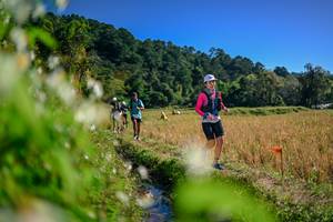 BIB: 
                            <button type="button" onclick="openModal(26574222)" class="btn btn-primary btn-sm float-right btn-popup" data-toggle="modal" data-target=".modal-high-quality">
                        <i class="fas fa-shopping-cart"></i> Add to Cart
                    </button>
                                            <button type="button" onclick="isThisMe(26574222, true)" class="btn btn-success btn-sm float-right btn-popup btn-isme hidden" data-toggle="tooltip" data-placement="bottom" title="นี่คือรูปของคุณใช่ไหม คลิกที่นี่เพื่อเอาเข้าอัลบั้ม">
                        <i class="fas fa-plus"></i> Add to album
                    </button>
                    <button type="button" onclick="isThisMe(26574222, false)" class="btn btn-warning btn-sm float-right btn-popup btn-isnotme hidden">
                        <i class="fas fa-ban"></i> Remove from album
                    </button>