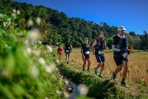 BIB: 
                            <button type="button" onclick="openModal(26575656)" class="btn btn-primary btn-sm float-right btn-popup" data-toggle="modal" data-target=".modal-high-quality">
                        <i class="fas fa-shopping-cart"></i> Add to Cart
                    </button>
                                            <button type="button" onclick="isThisMe(26575656, true)" class="btn btn-success btn-sm float-right btn-popup btn-isme hidden" data-toggle="tooltip" data-placement="bottom" title="นี่คือรูปของคุณใช่ไหม คลิกที่นี่เพื่อเอาเข้าอัลบั้ม">
                        <i class="fas fa-plus"></i> Add to album
                    </button>
                    <button type="button" onclick="isThisMe(26575656, false)" class="btn btn-warning btn-sm float-right btn-popup btn-isnotme hidden">
                        <i class="fas fa-ban"></i> Remove from album
                    </button>