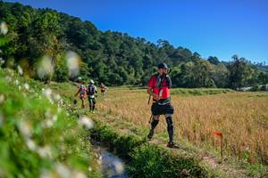 BIB: 
                            <button type="button" onclick="openModal(26579561)" class="btn btn-primary btn-sm float-right btn-popup" data-toggle="modal" data-target=".modal-high-quality">
                        <i class="fas fa-shopping-cart"></i> Add to Cart
                    </button>
                                            <button type="button" onclick="isThisMe(26579561, true)" class="btn btn-success btn-sm float-right btn-popup btn-isme hidden" data-toggle="tooltip" data-placement="bottom" title="นี่คือรูปของคุณใช่ไหม คลิกที่นี่เพื่อเอาเข้าอัลบั้ม">
                        <i class="fas fa-plus"></i> Add to album
                    </button>
                    <button type="button" onclick="isThisMe(26579561, false)" class="btn btn-warning btn-sm float-right btn-popup btn-isnotme hidden">
                        <i class="fas fa-ban"></i> Remove from album
                    </button>