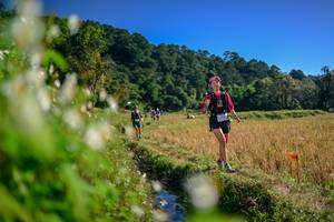 BIB: 
                            <button type="button" onclick="openModal(26572566)" class="btn btn-primary btn-sm float-right btn-popup" data-toggle="modal" data-target=".modal-high-quality">
                        <i class="fas fa-shopping-cart"></i> Add to Cart
                    </button>
                                            <button type="button" onclick="isThisMe(26572566, true)" class="btn btn-success btn-sm float-right btn-popup btn-isme hidden" data-toggle="tooltip" data-placement="bottom" title="นี่คือรูปของคุณใช่ไหม คลิกที่นี่เพื่อเอาเข้าอัลบั้ม">
                        <i class="fas fa-plus"></i> Add to album
                    </button>
                    <button type="button" onclick="isThisMe(26572566, false)" class="btn btn-warning btn-sm float-right btn-popup btn-isnotme hidden">
                        <i class="fas fa-ban"></i> Remove from album
                    </button>