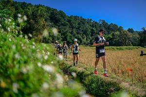 BIB: 
                            <button type="button" onclick="openModal(26582077)" class="btn btn-primary btn-sm float-right btn-popup" data-toggle="modal" data-target=".modal-high-quality">
                        <i class="fas fa-shopping-cart"></i> Add to Cart
                    </button>
                                            <button type="button" onclick="isThisMe(26582077, true)" class="btn btn-success btn-sm float-right btn-popup btn-isme hidden" data-toggle="tooltip" data-placement="bottom" title="นี่คือรูปของคุณใช่ไหม คลิกที่นี่เพื่อเอาเข้าอัลบั้ม">
                        <i class="fas fa-plus"></i> Add to album
                    </button>
                    <button type="button" onclick="isThisMe(26582077, false)" class="btn btn-warning btn-sm float-right btn-popup btn-isnotme hidden">
                        <i class="fas fa-ban"></i> Remove from album
                    </button>