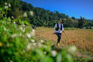 BIB: 
                            <button type="button" onclick="openModal(26581464)" class="btn btn-primary btn-sm float-right btn-popup" data-toggle="modal" data-target=".modal-high-quality">
                        <i class="fas fa-shopping-cart"></i> Add to Cart
                    </button>
                                            <button type="button" onclick="isThisMe(26581464, true)" class="btn btn-success btn-sm float-right btn-popup btn-isme hidden" data-toggle="tooltip" data-placement="bottom" title="นี่คือรูปของคุณใช่ไหม คลิกที่นี่เพื่อเอาเข้าอัลบั้ม">
                        <i class="fas fa-plus"></i> Add to album
                    </button>
                    <button type="button" onclick="isThisMe(26581464, false)" class="btn btn-warning btn-sm float-right btn-popup btn-isnotme hidden">
                        <i class="fas fa-ban"></i> Remove from album
                    </button>